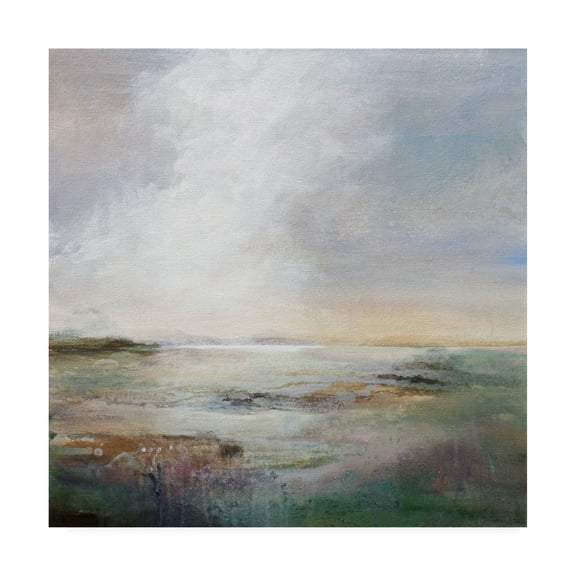 Trademark Fine Art 'Morning Light Abstract' Canvas Art by Karen Hal