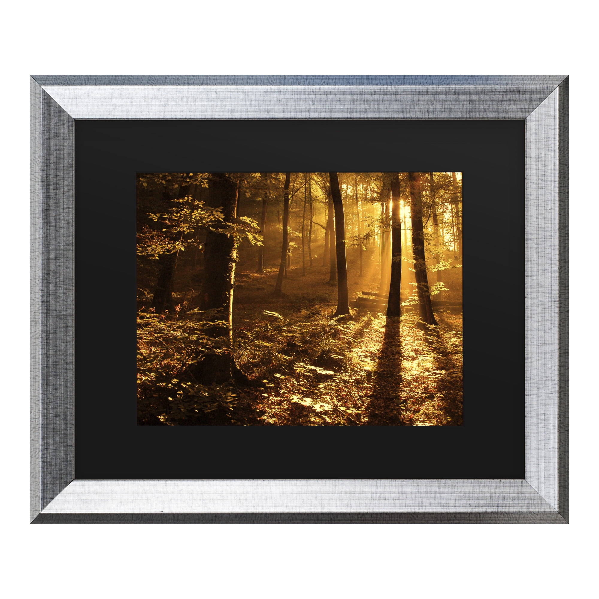 Trademark Fine Art 'Morning Light' Canvas Art by Philippe Sainte-Laudy