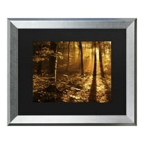 Trademark Fine Art 'Morning Light' Canvas Art by Philippe Sainte-Laudy