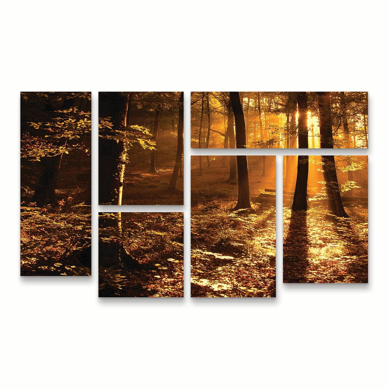 Trademark Fine Art 'Morning Light' Canvas Art by Philippe Sainte-Laudy