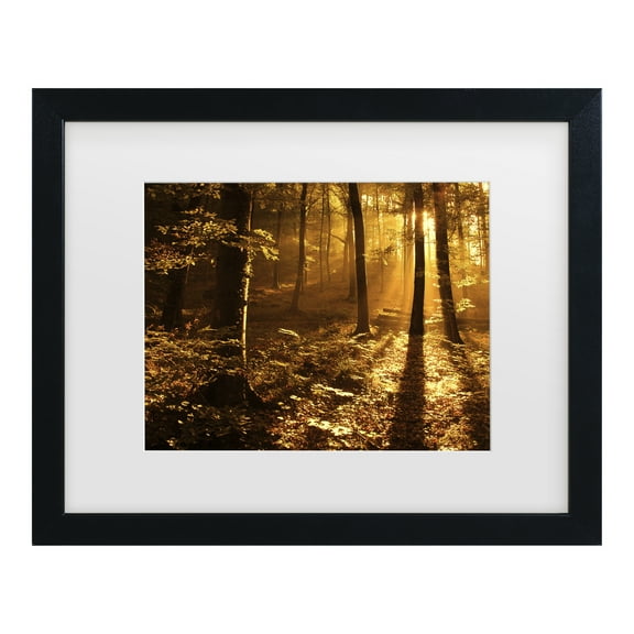 Trademark Fine Art 'Morning Light' Canvas Art by Philippe Sainte-Laudy