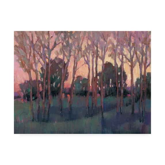 Trademark Fine Art 'Morning Light I' Canvas Art by Tim OToole