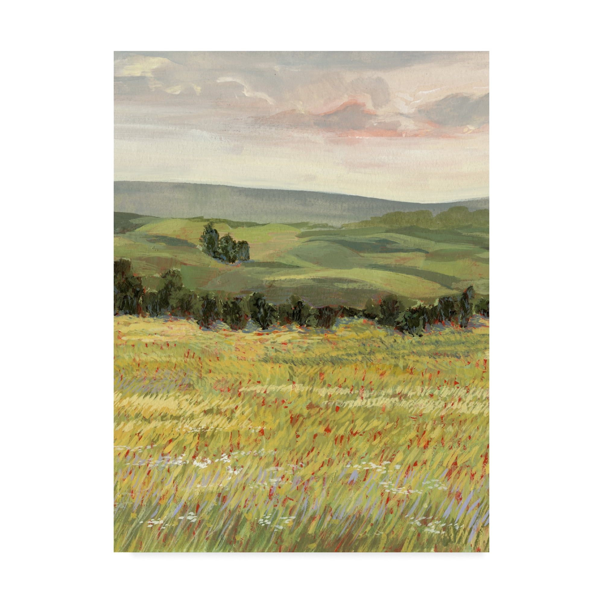 Trademark Fine Art 'Morning Meadow I' Canvas Art by Victoria Borges