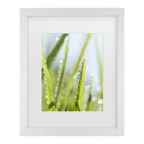 Trademark Fine Art 'Morning Melody' Canvas Art by Beata Czyzowska Young