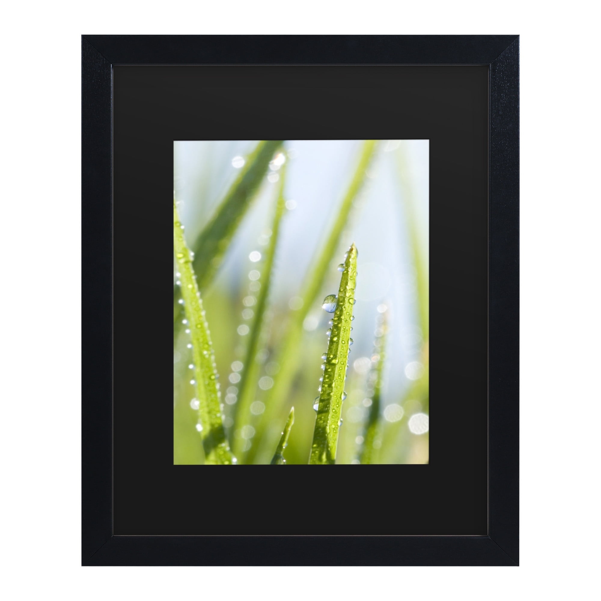 Trademark Fine Art 'Morning Melody' Canvas Art by Beata Czyzowska Young