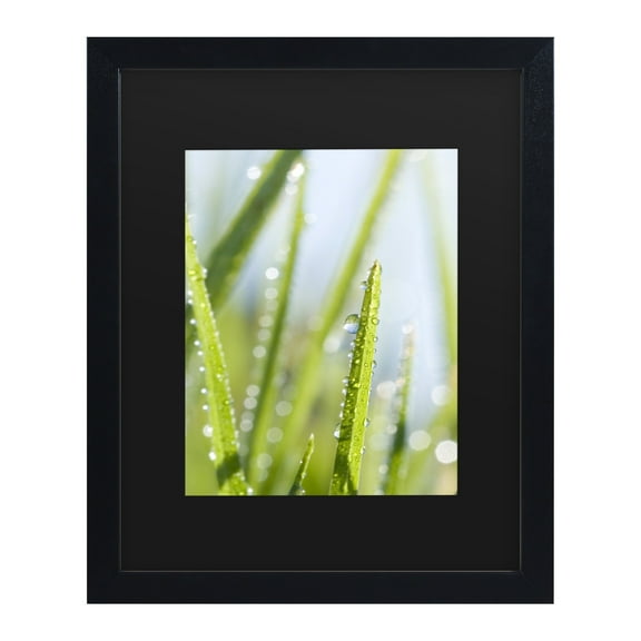 Trademark Fine Art 'Morning Melody' Canvas Art by Beata Czyzowska Young