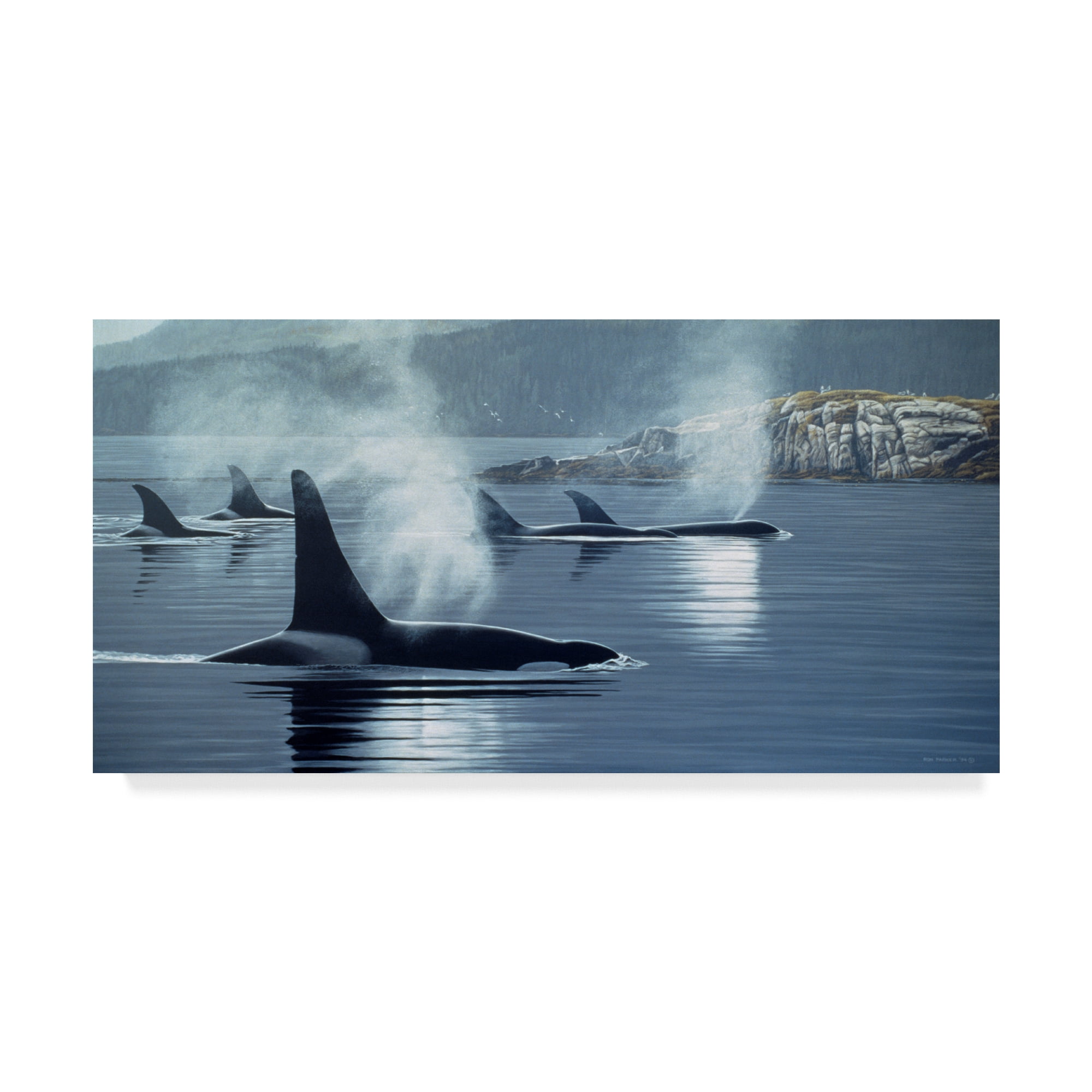 Trademark Fine Art 'Morning Mist' Canvas Art by Ron Parker