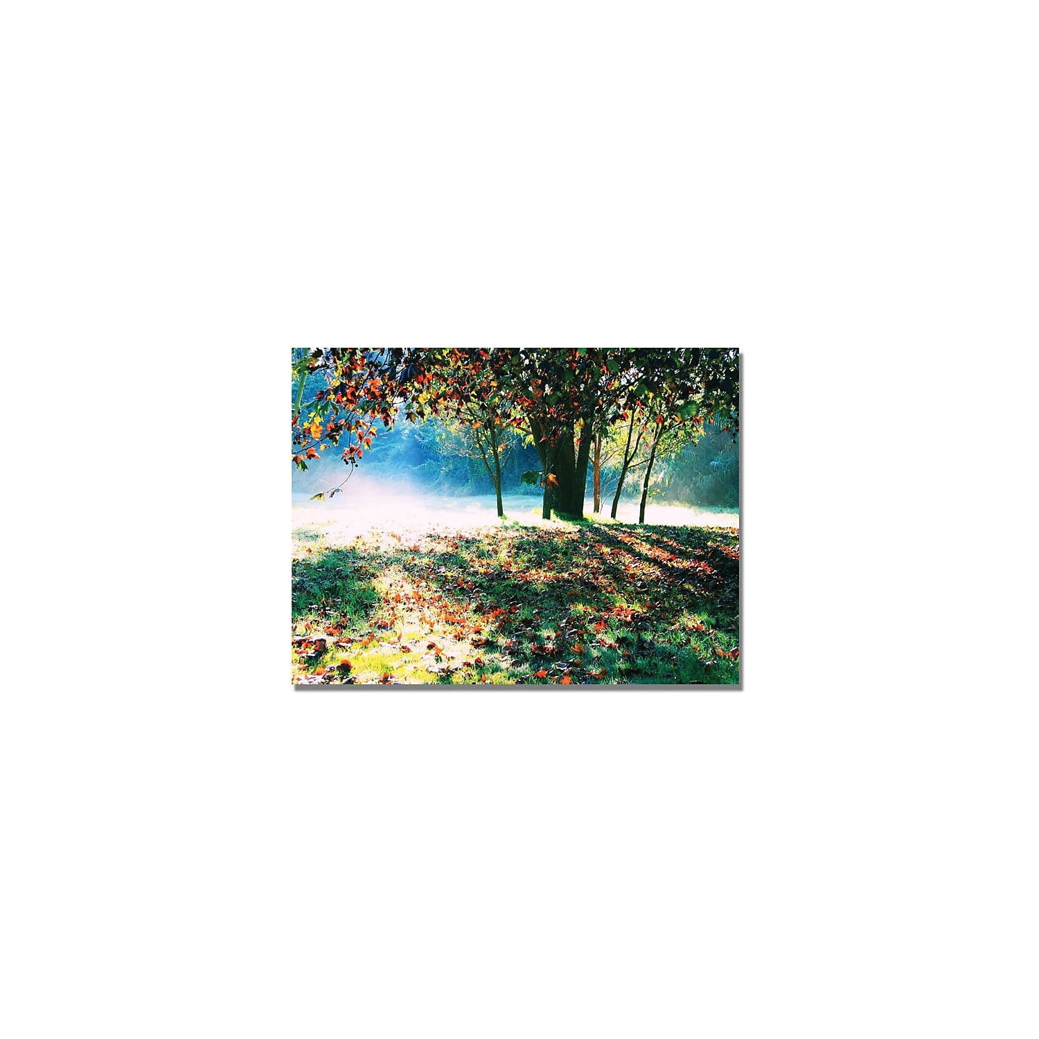 Trademark Fine Art "Morning Moods" Canvas Art by Beata Czyzowska