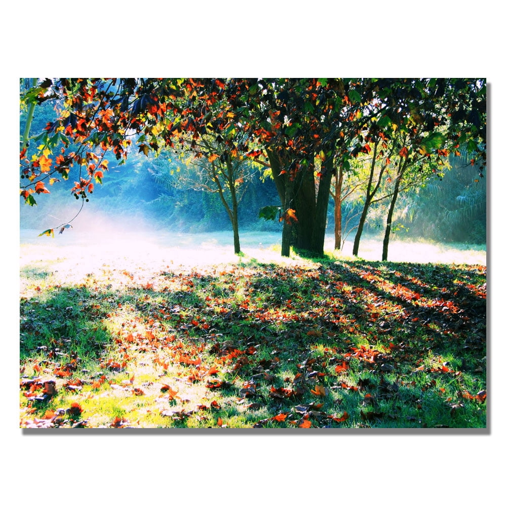 Trademark Fine Art "Morning Moods" Canvas Art by Beata Czyzowska