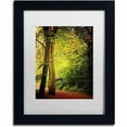 thumbnail image 1 of Trademark Fine Art "Morning Queen" Canvas Art by Philippe Sainte-Laudy, White Matte, Black Frame, 1 of 1