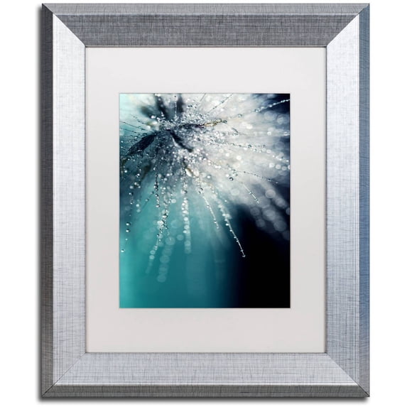 Trademark Fine Art "Morning Sonata" Canvas Art by Beata Czyzowska Young White Matte, Silver Frame