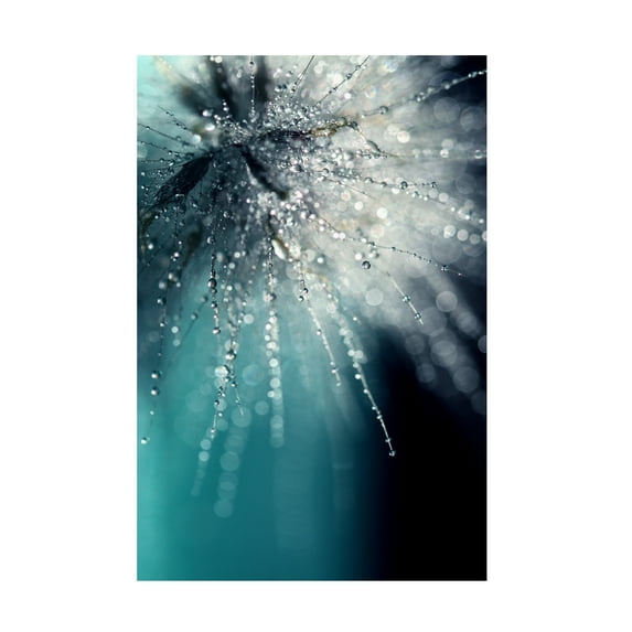 Trademark Fine Art Beata Czyzowska Young Morning Sonata Canvas Wall Art - 16x24