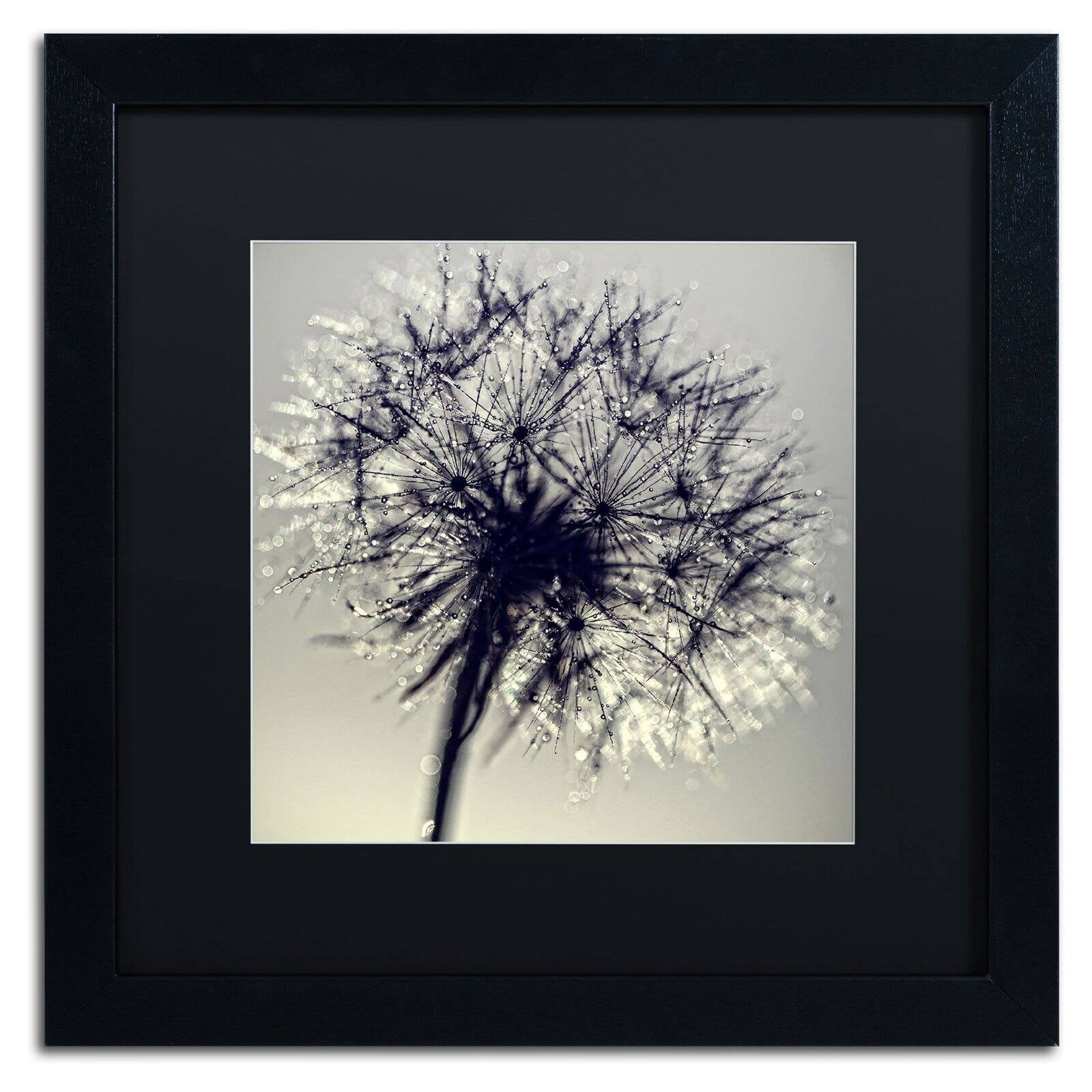 Trademark Fine Art "Morning Sparkles" Canvas Art by Beata Czyzowska Young, Black Matte, Black Frame