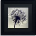 thumbnail image 1 of Trademark Fine Art "Morning Sparkles" Canvas Art by Beata Czyzowska Young, Black Matte, Black Frame, 1 of 9