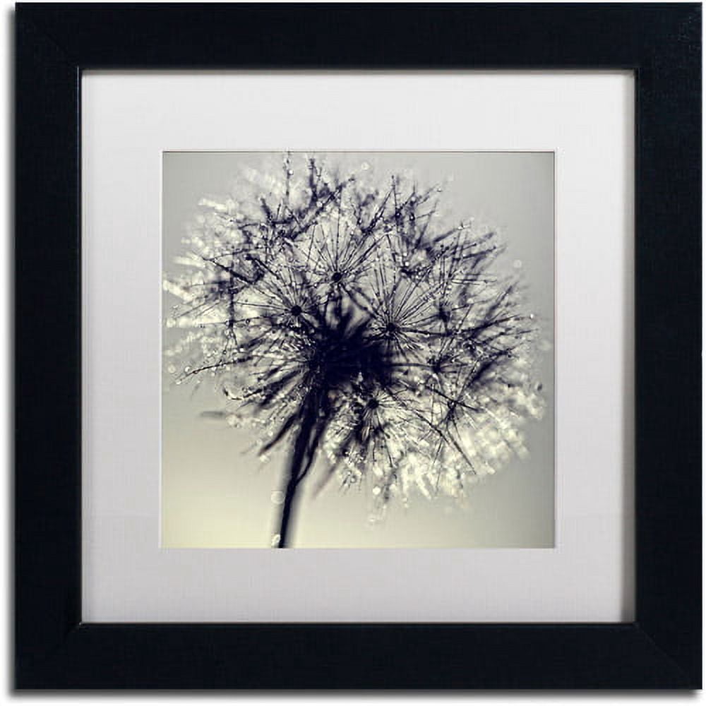 Trademark Fine Art "Morning Sparkles" Canvas Art by Beata Czyzowska Young, White Matte, Black Frame