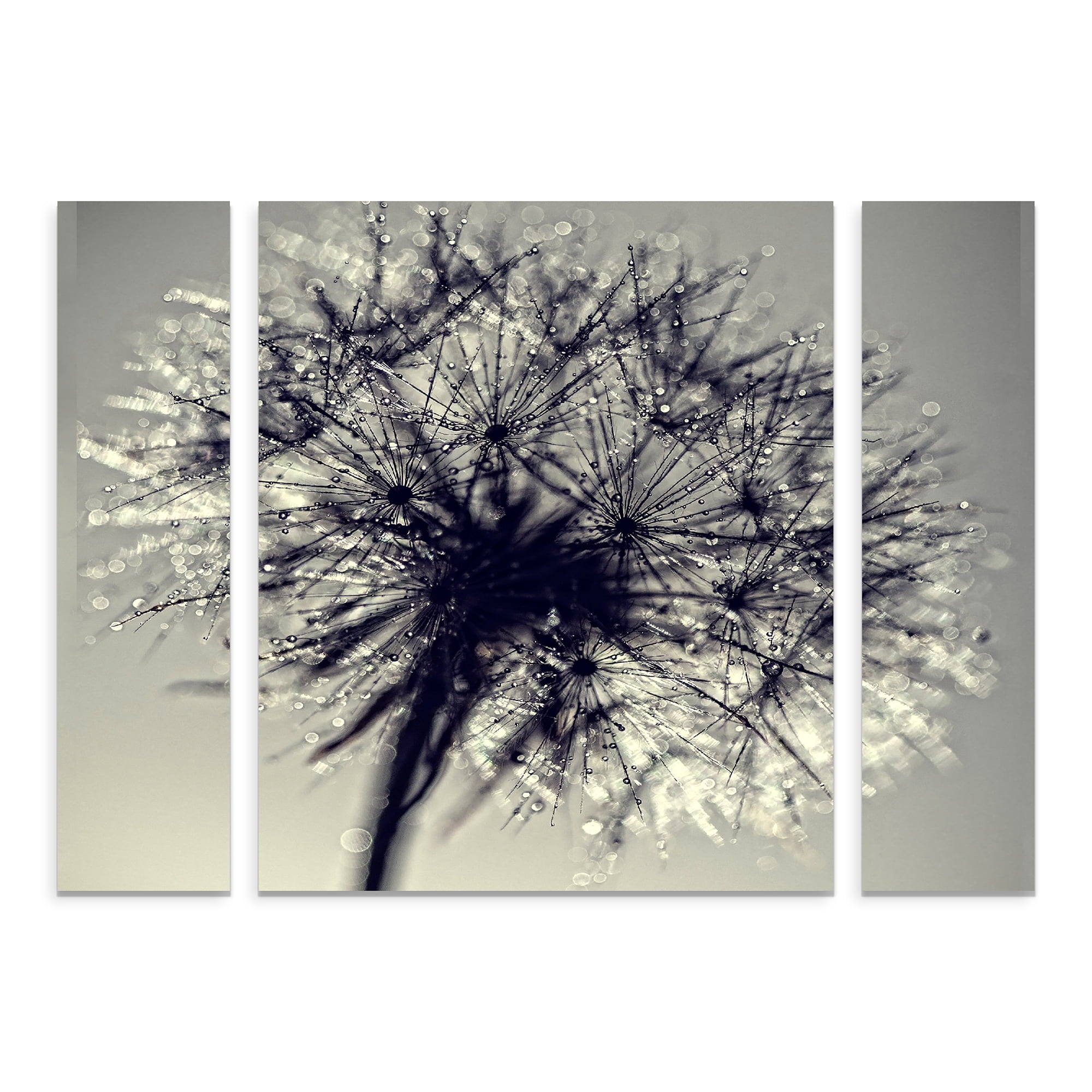 Trademark Fine Art 'Morning Sparkles' Canvas Art by Beata Czyzowska Young