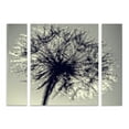 thumbnail image 1 of Trademark Fine Art 'Morning Sparkles' Canvas Art by Beata Czyzowska Young, 1 of 3