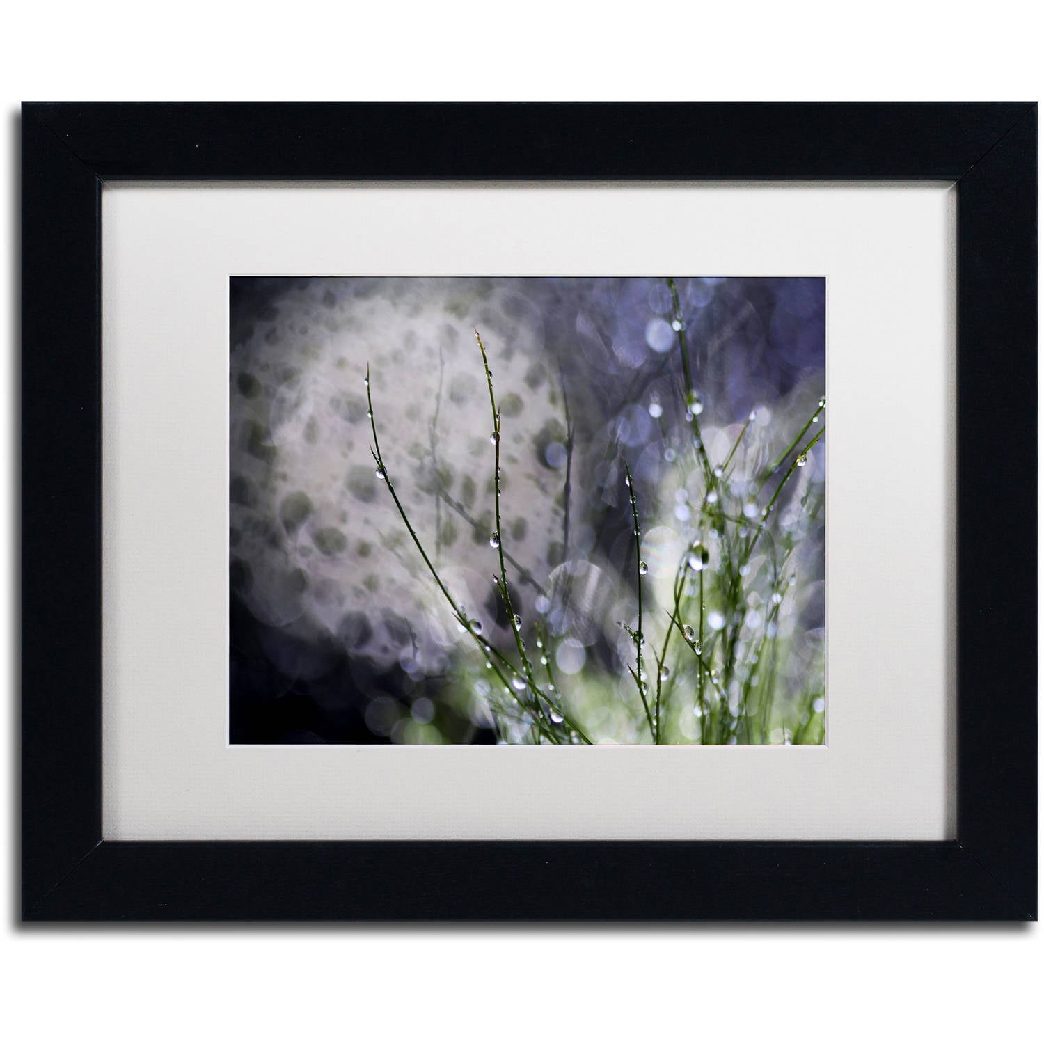 Trademark Fine Art "Morning Tale" Canvas Art by Beata Czyzowska Young, White Matte, Black Frame