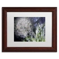 Trademark Fine Art "Morning Tale" Canvas Art by Beata Czyzowska Young, White Matte, Wood Frame