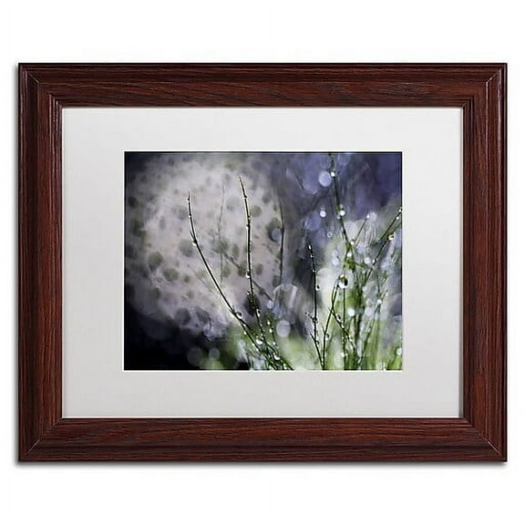 Trademark Fine Art "Morning Tale" Canvas Art by Beata Czyzowska Young, White Matte, Wood Frame