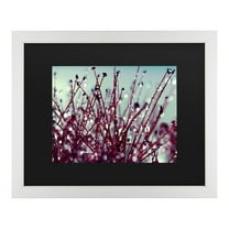 Trademark Fine Art 'Morning Tunes' Canvas Art by Beata Czyzowska Young