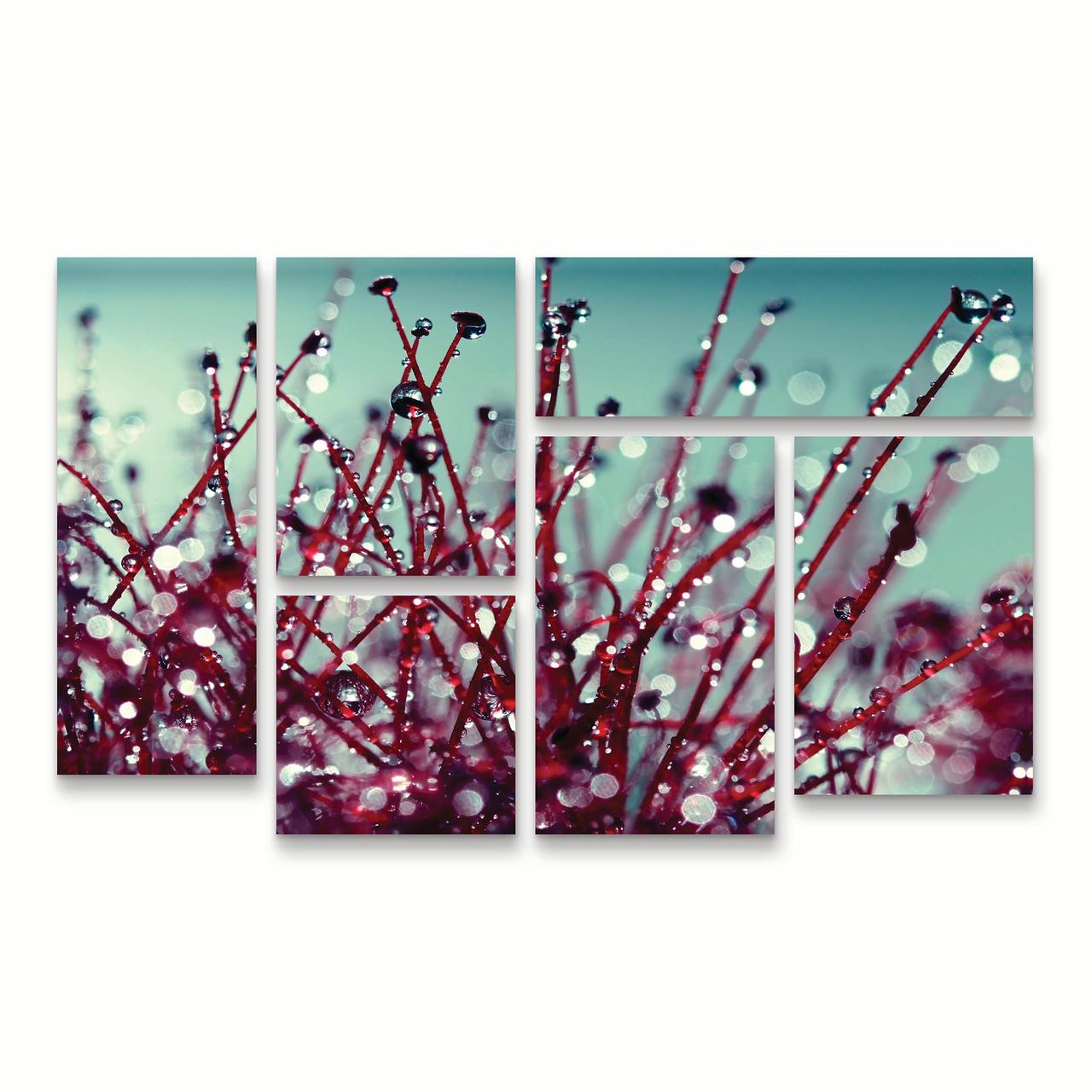 Trademark Fine Art 'Morning Tunes' Canvas Art by Beata Czyzowska Young