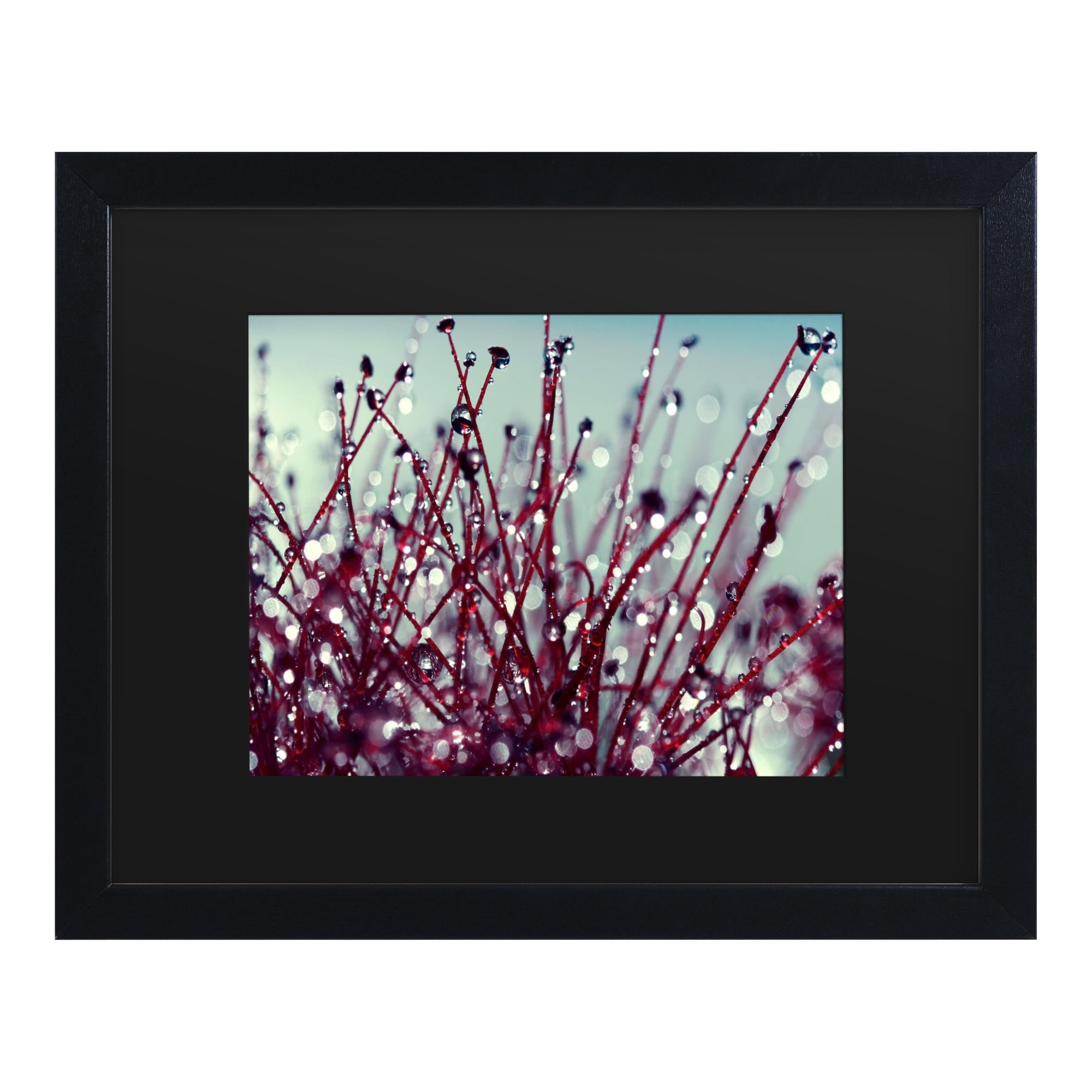 Trademark Fine Art 'Morning Tunes' Canvas Art by Beata Czyzowska Young