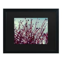 Trademark Fine Art 'Morning Tunes' Canvas Art by Beata Czyzowska Young