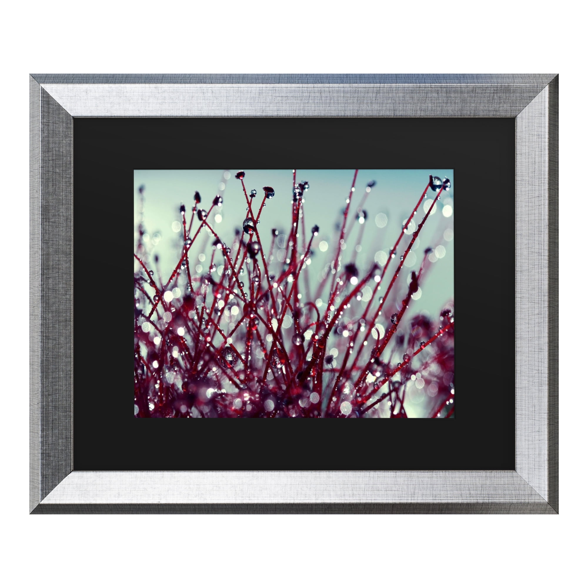 Trademark Fine Art 'Morning Tunes' Canvas Art by Beata Czyzowska Young