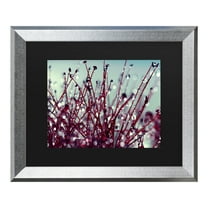 Trademark Fine Art 'Morning Tunes' Canvas Art by Beata Czyzowska Young