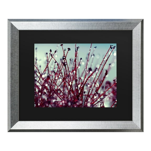 Trademark Fine Art 'Morning Tunes' Canvas Art by Beata Czyzowska Young