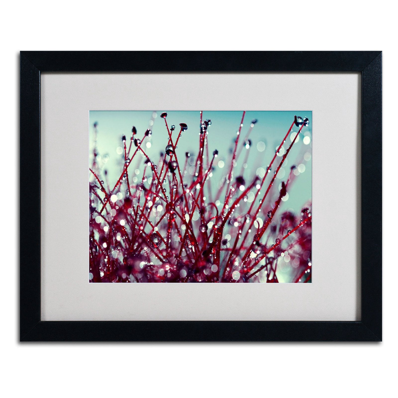 Trademark Fine Art "Morning Tunes" Framed Canvas Art by Beata Czyzowska Young