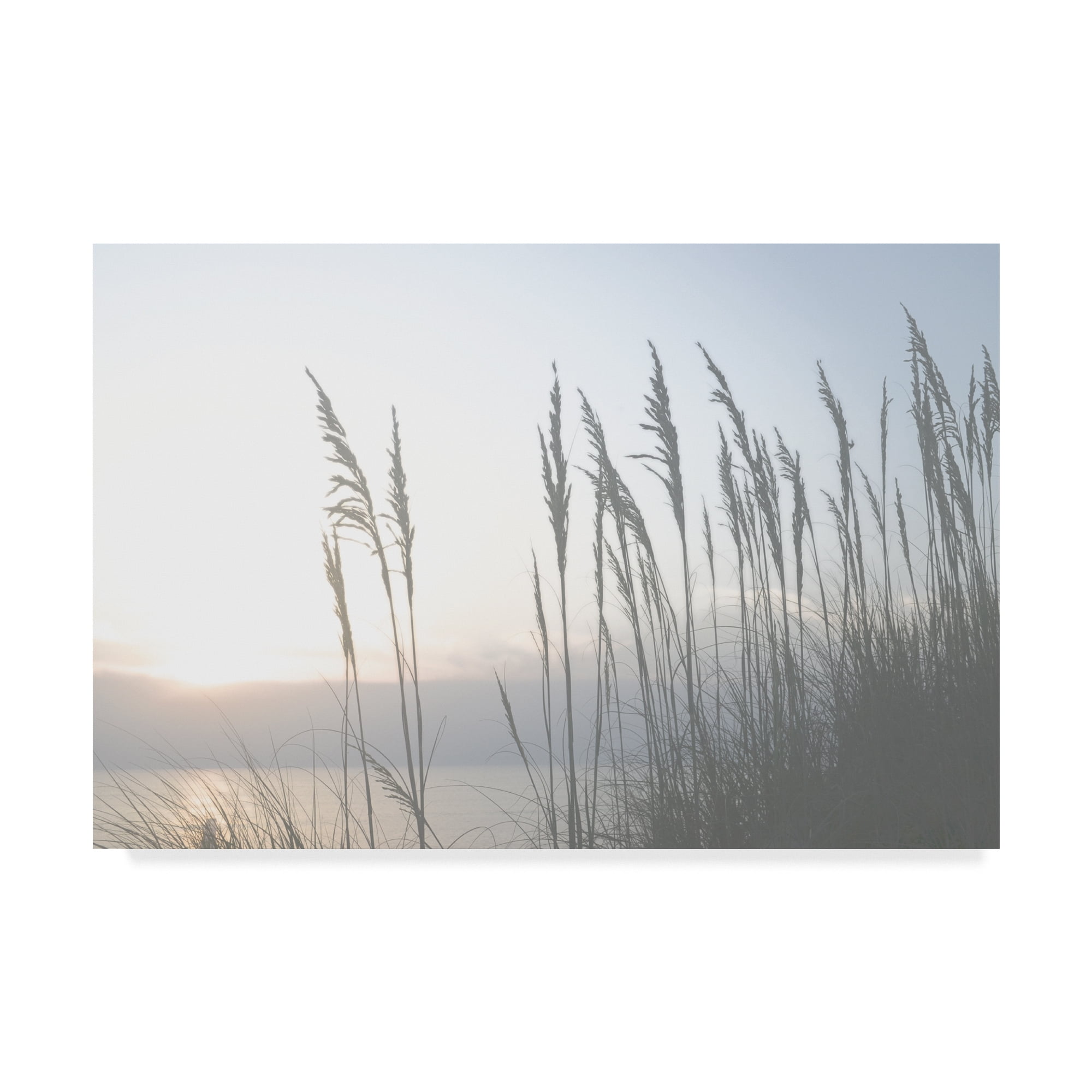 Trademark Fine Art 'Morning Whisper II' Canvas Art by Sharon Chandler
