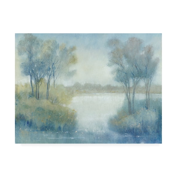 Trademark Fine Art 'Morning at the Pond I' Canvas Art by Tim OToole