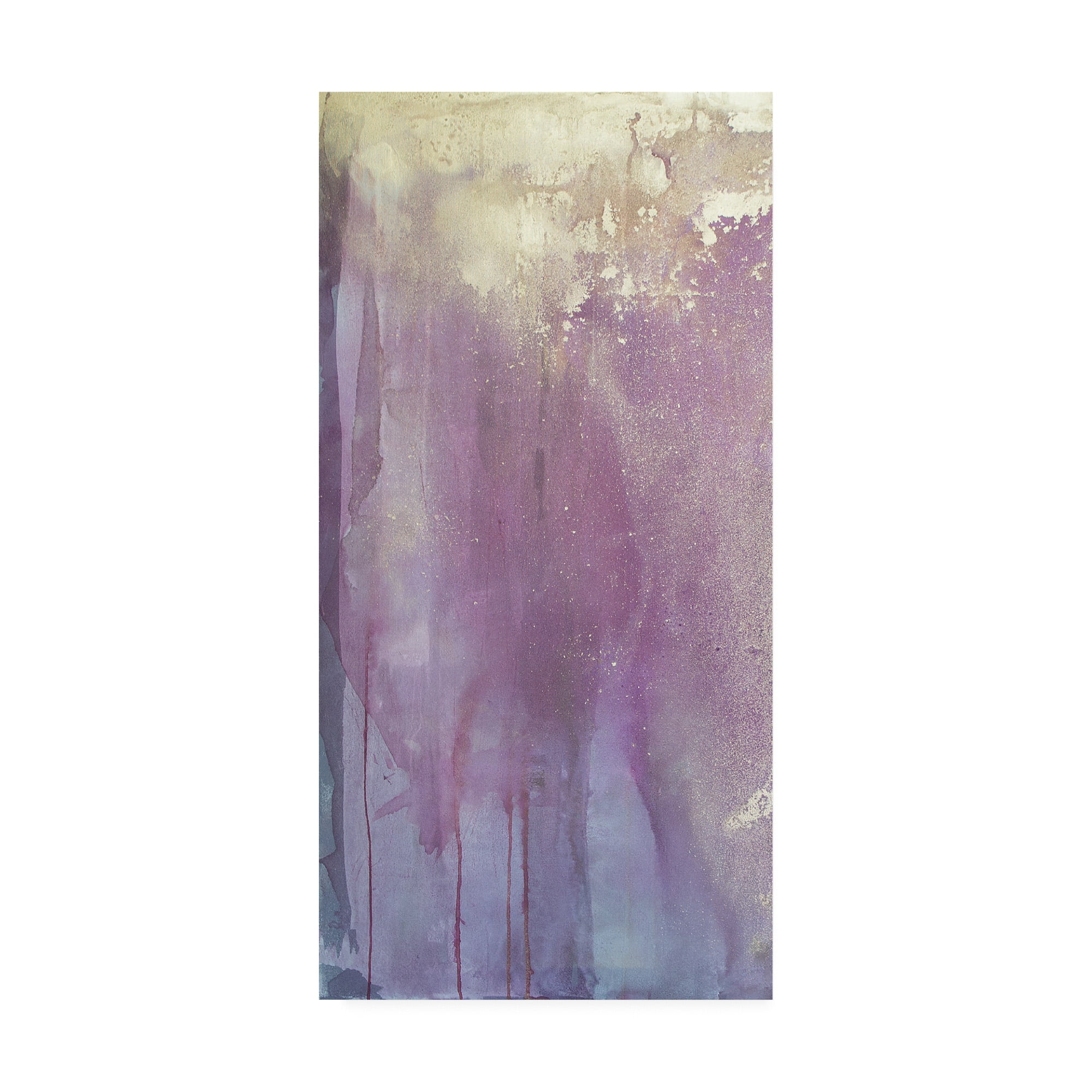 Trademark Fine Art 'Moroccan Stardust I' Canvas Art by Julia Contacessi