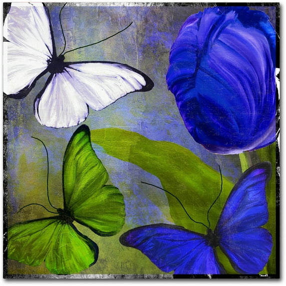 Trademark Fine Art "Morphos Two" Canvas Art by Color Bakery