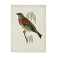 thumbnail image 1 of Trademark Fine Art 'Morris Linnet' Canvas Art by Morris, 1 of 4
