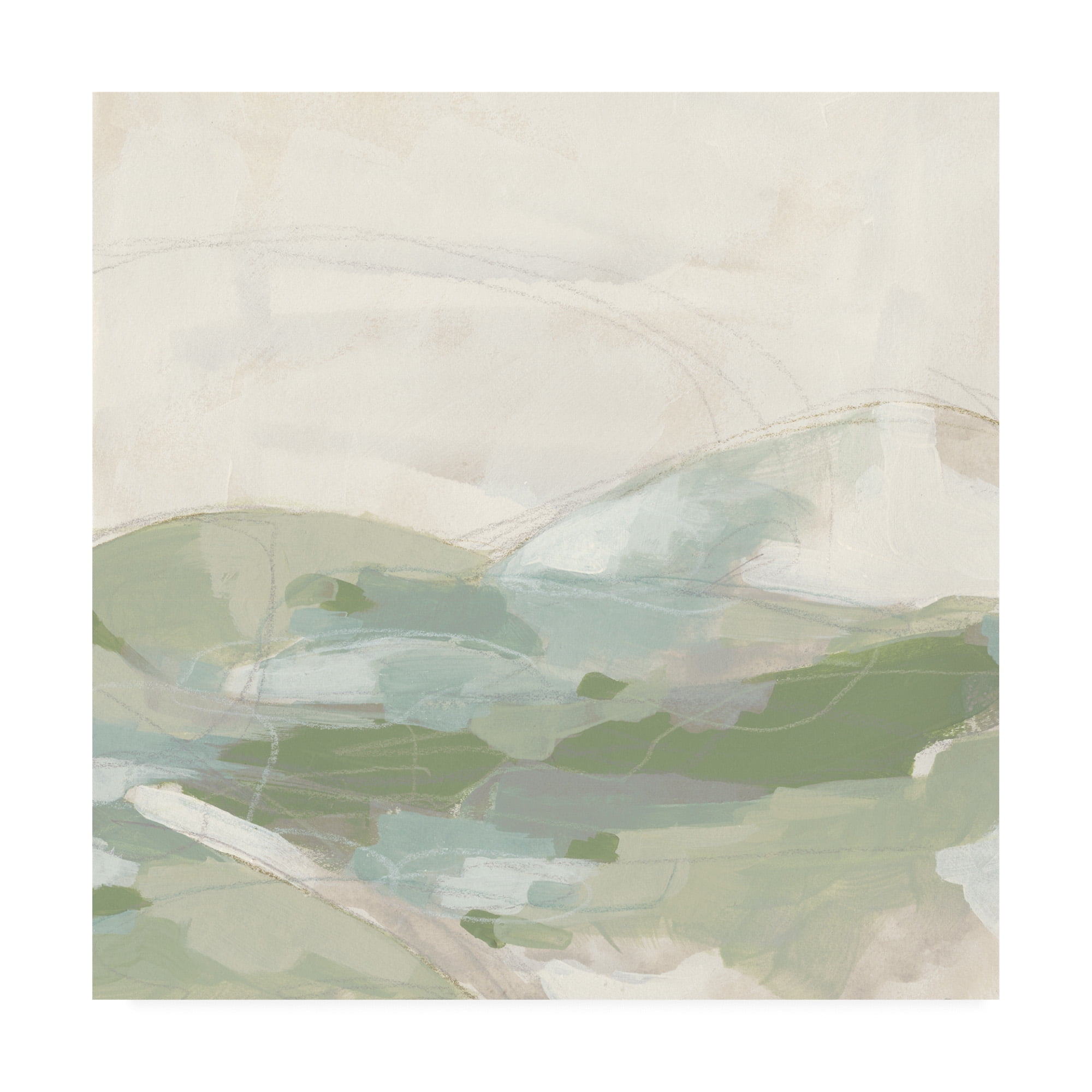 Trademark Fine Art 'Moss Vale I' Canvas Art by June Erica Vess