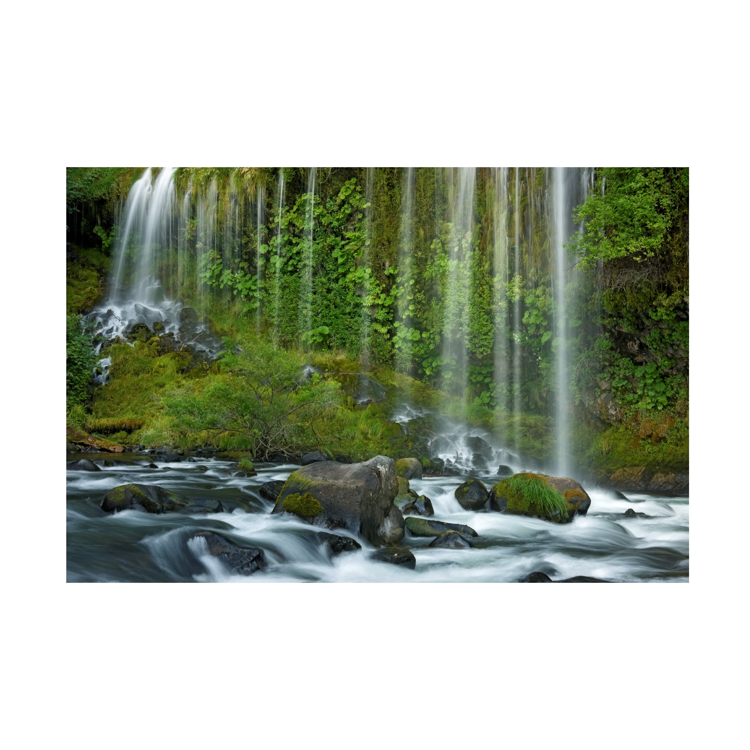 Trademark Fine Art 'Mossbrae Falls' Canvas Art by Mike Jones Photo