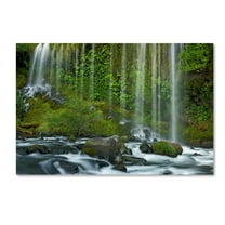 Trademark Fine Art 'Mossbrae Falls' Canvas Art by Mike Jones Photo