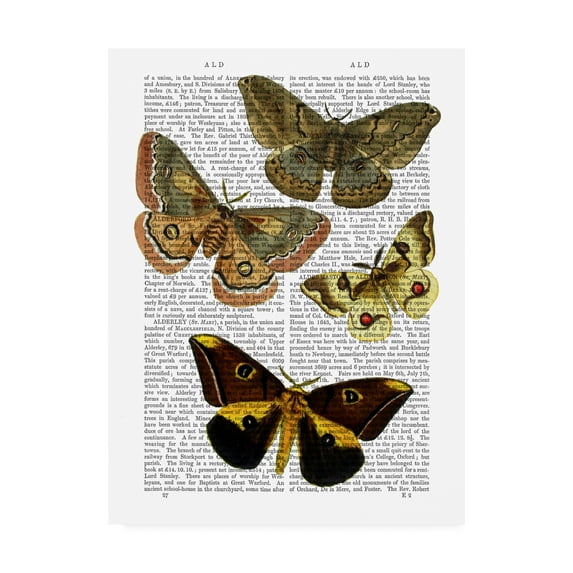 Trademark Fine Art 'Moth Plate 3' Canvas Art by Fab Funky