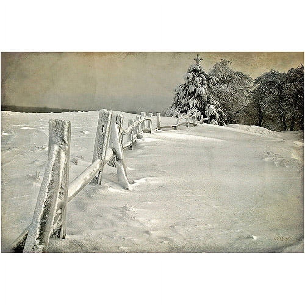 Trademark Fine Art "Mother Nature's Christmas Tree" Canvas Art by Lois Bryan
