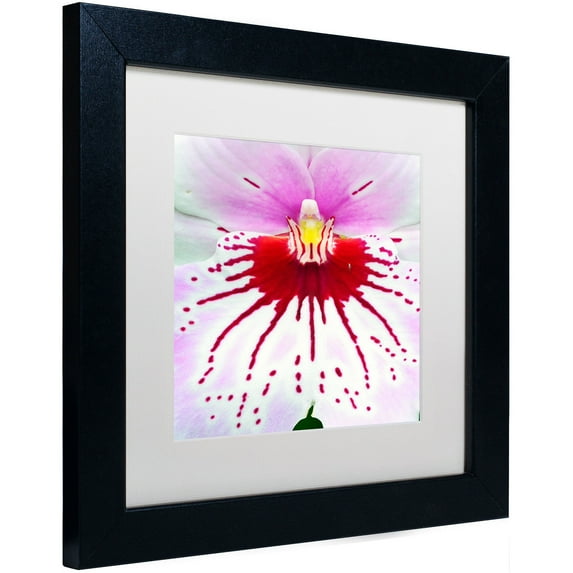 Trademark Fine Art "Mother Natures Imagination Orchid" Canvas Art by Kurt Shaffer, White Matte, Black Frame