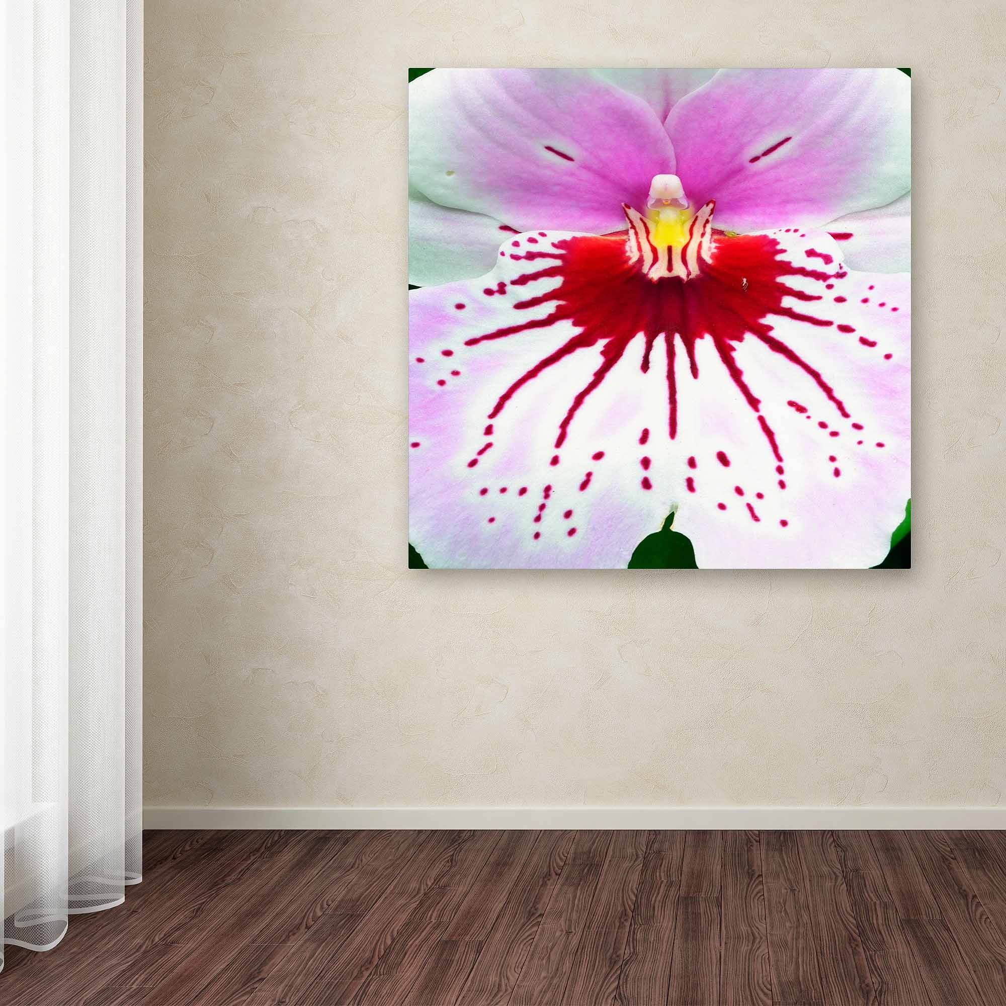 Vibrant Orchid Close-Up Canvas Art in Pink and Red