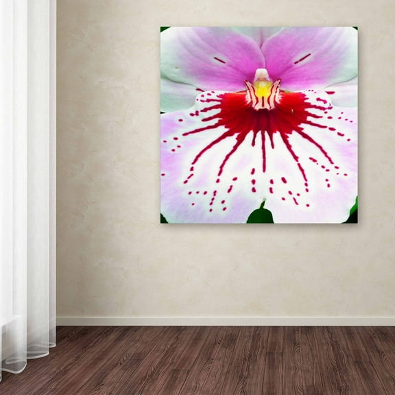 Trademark Fine Art "Mother Natures Imagination Orchid" Canvas Art by Kurt Shaffer