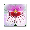 thumbnail image 1 of Trademark Fine Art "Mother Natures Imagination Orchid" Canvas Art by Kurt Shaffer, 1 of 2