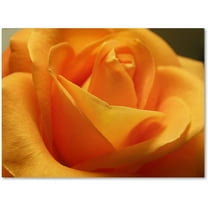 Trademark Fine Art "Mother's Embrace" Canvas Art by Monica Fleet