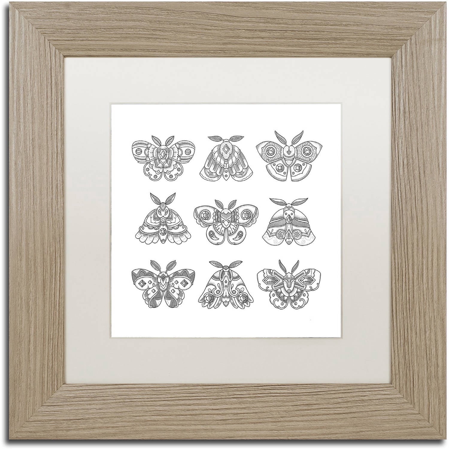 Trademark Fine Art "Moths" Canvas Art by Filippo Cardu, White Matte, Birch Frame