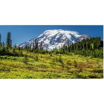 Trademark Fine Art "Mount Rainier Meadow" Canvas Art by Pierre Leclerc