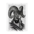 thumbnail image 1 of Trademark Fine Art 'Mountain Goat Portrait' Canvas Art by Fab Funky, 1 of 3